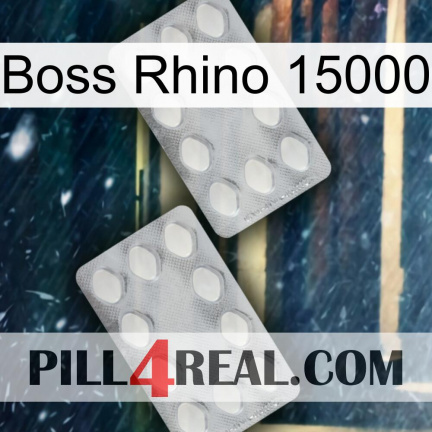 Boss Rhino 15000 17